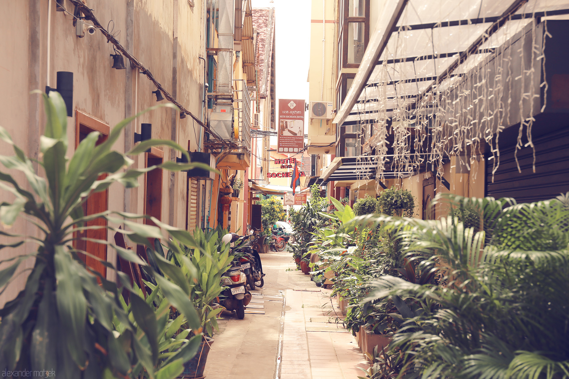 Foto von A lush, plant-lined alley with classic Khmer signs and motorbikes in sun-soaked Siem Reap, Cambodia.