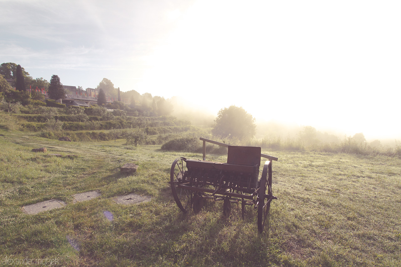 Foto von A rustic cart basking in the soft glow of dawn amid the serene Tuscan landscape, captured in tranquil beauty and timeless charm.