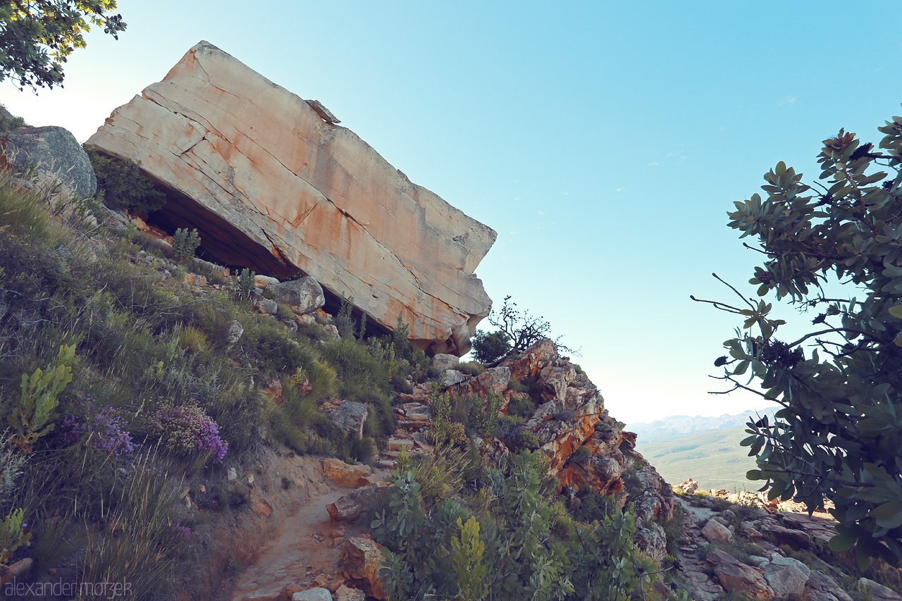 Rock of Ages - Cederberg Foto von A stunning rock formation in Cederberg, South Africa, framed by lush flora and a clear blue sky.