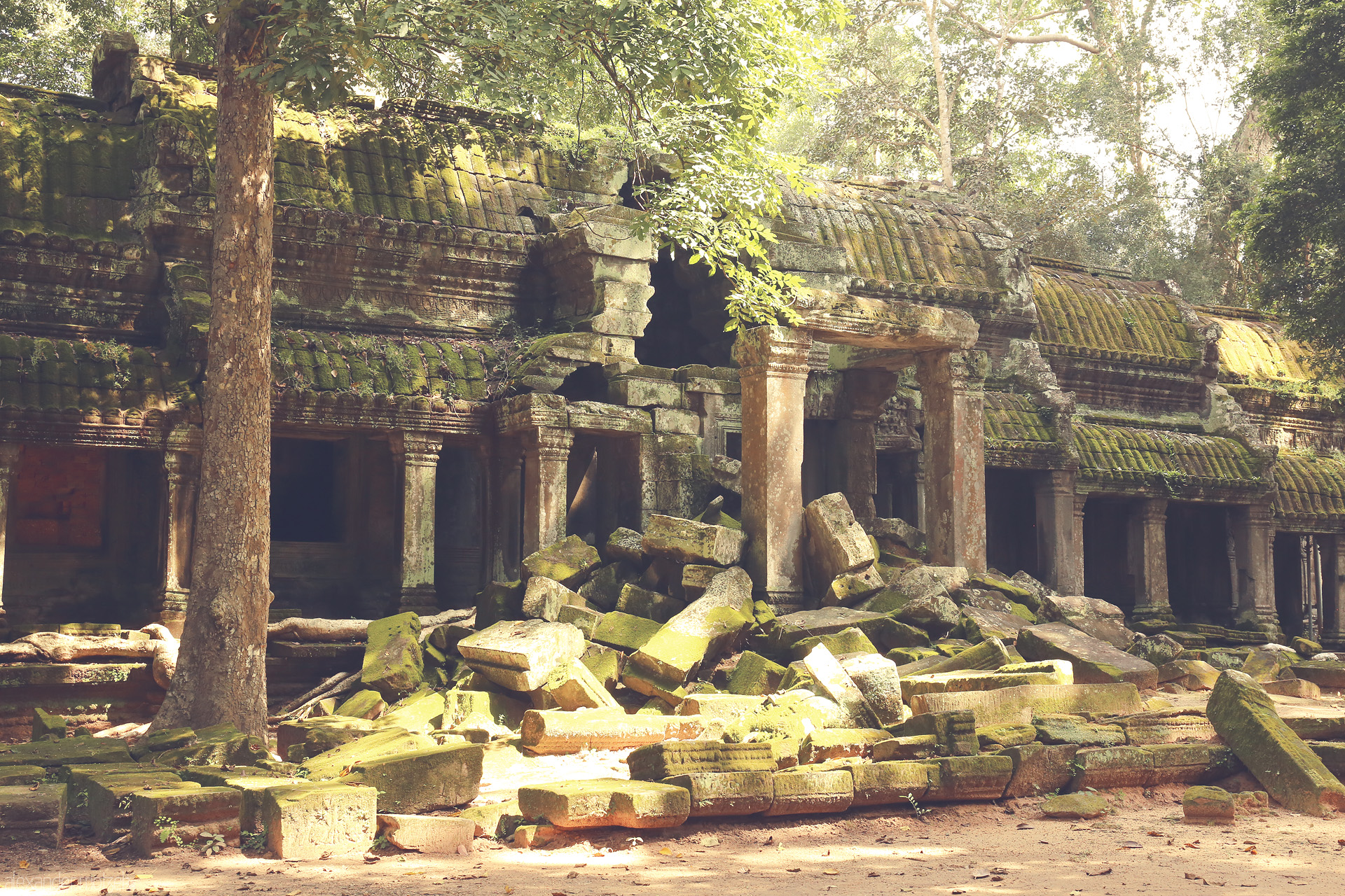 Foto von Ancient Khmer temple ruins draped in moss and dappled sunlight, hidden within Angkor Wat’s lush jungles of Siem Reap, Cambodia.