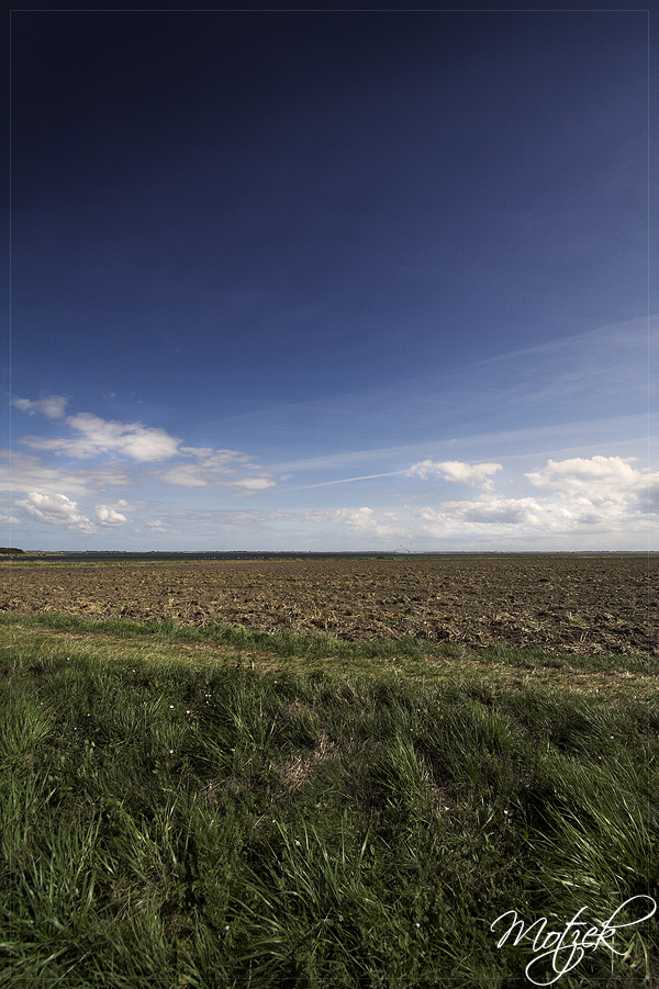 Foto von Fehmarn Feld Landschaft