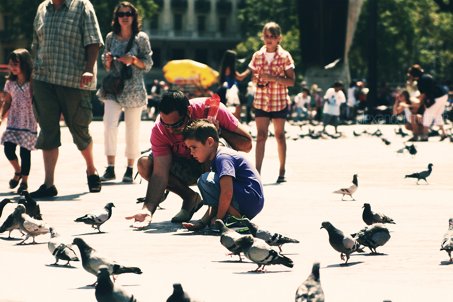 Foto von A father and son share a moment feeding pigeons in Barcelona's bustling plaza, capturing the local charm and vibrant life of the city.