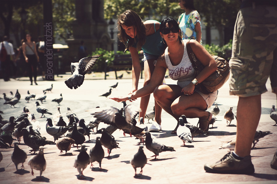 Foto von A sunny day in Barcelona's bustling square where locals and tourists gather amidst playful pigeons.