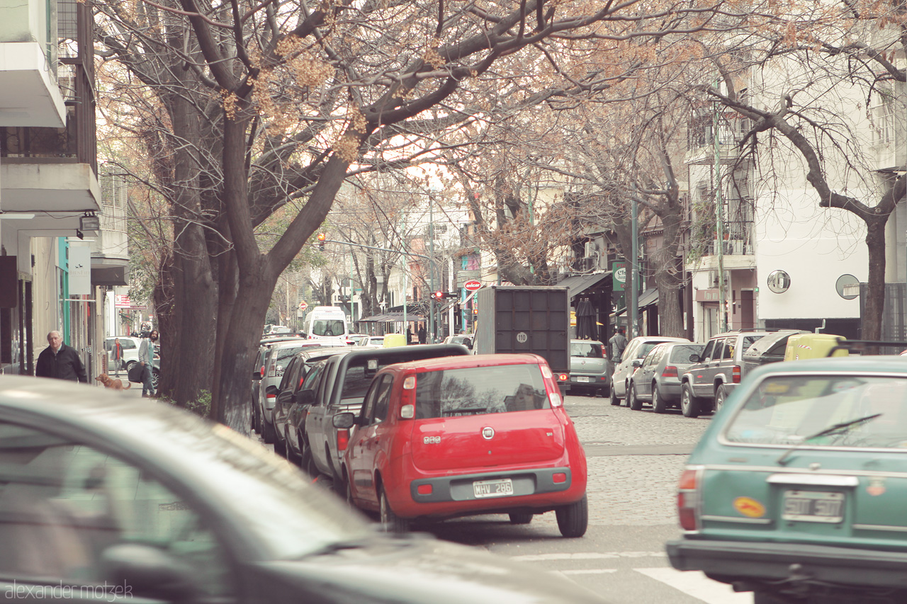 Foto von A serene street scene in Buenos Aires, capturing the blend of urban life and leafy avenues in the neighborhood of Recoleta.