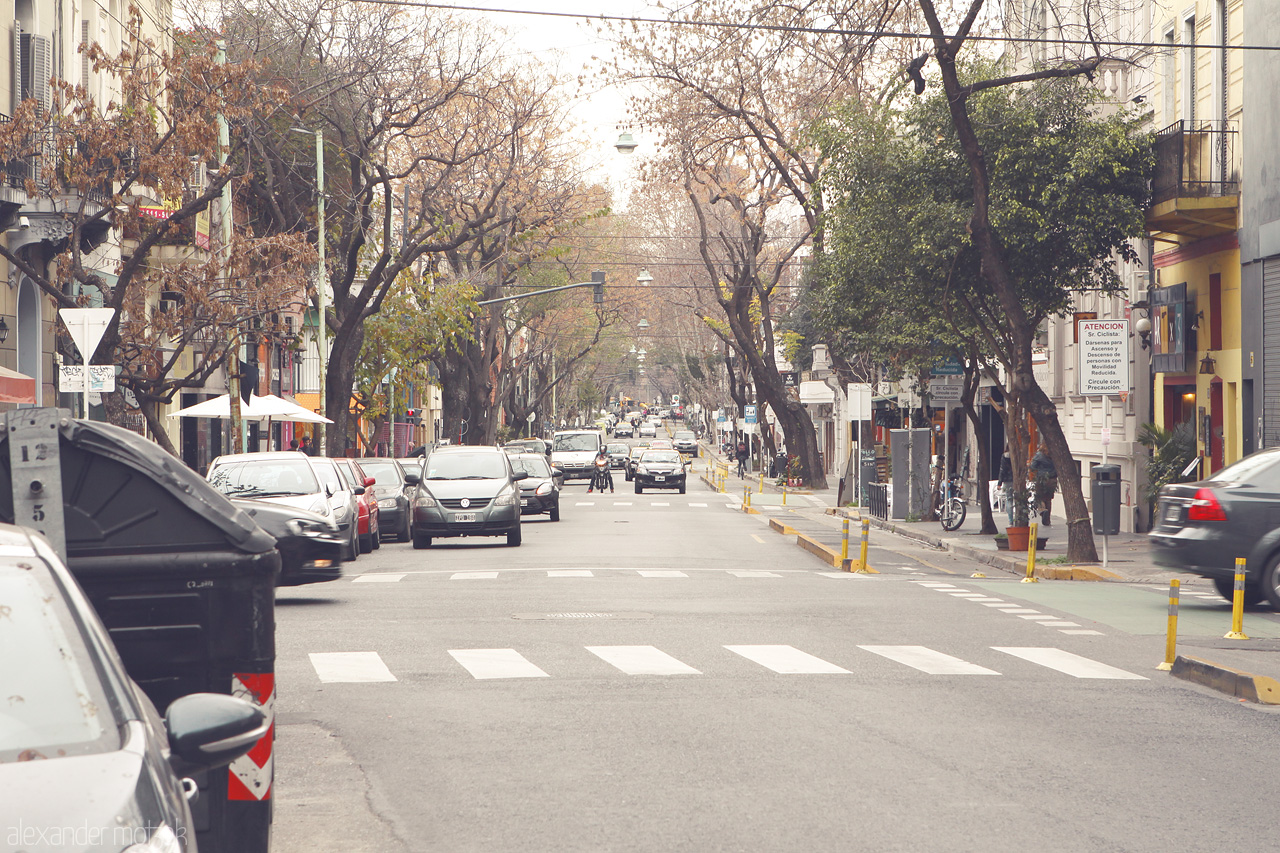 Foto von Tree-lined street in Buenos Aires captures the essence of city life amidst the gentle embrace of autumn leaves.