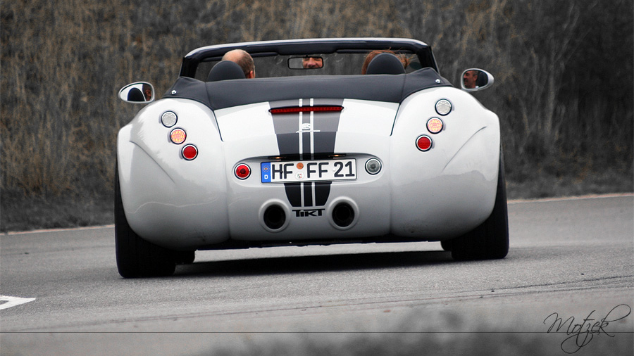 Foto von Charity Challenge 2010 Wiesmann MF4