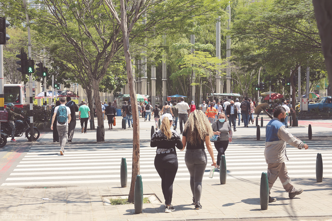 Foto von A bustling crosswalk in Comuna 10 - La Candelaria, Medellín, captures the city's vibrant, everyday pulse under the lush, urban canopy.