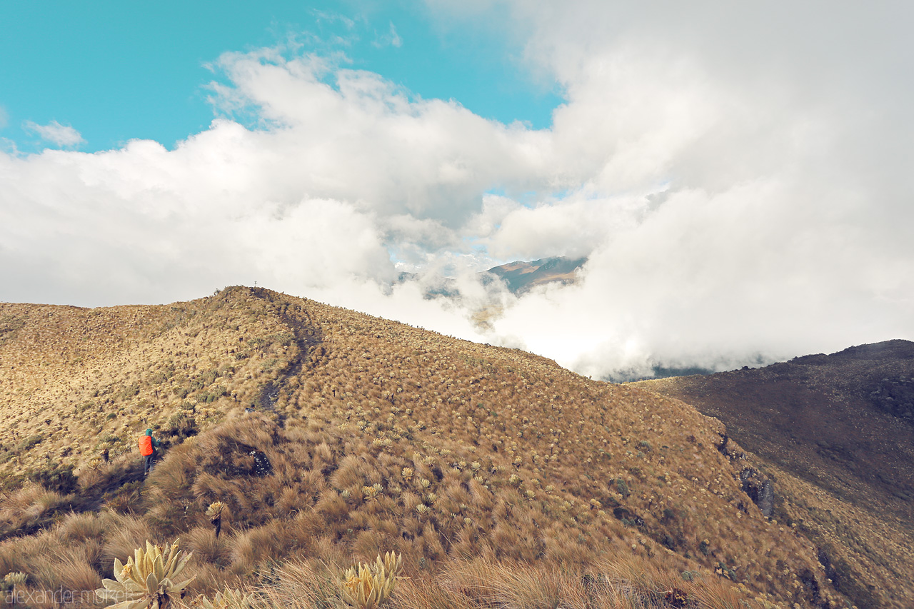 Foto von A hiker explores the serene, misty highlands of Salento, Quindío, Colombia. Trails carved through golden grasses amidst ethereal clouds.