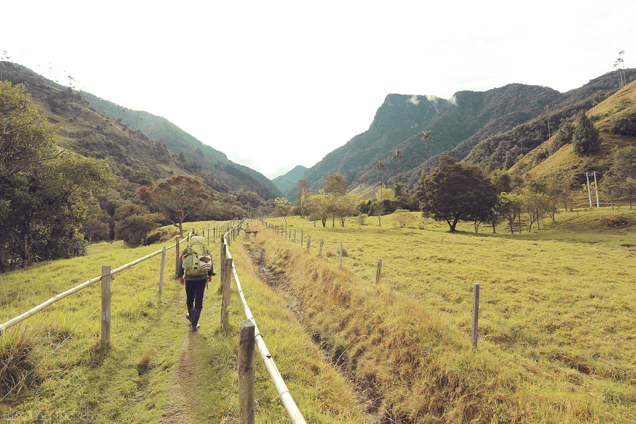 Foto von A lone hiker explores the lush, mountainous landscapes of Salento, Quindío in Colombia, surrounded by vibrant green valleys and iconic wax palms.