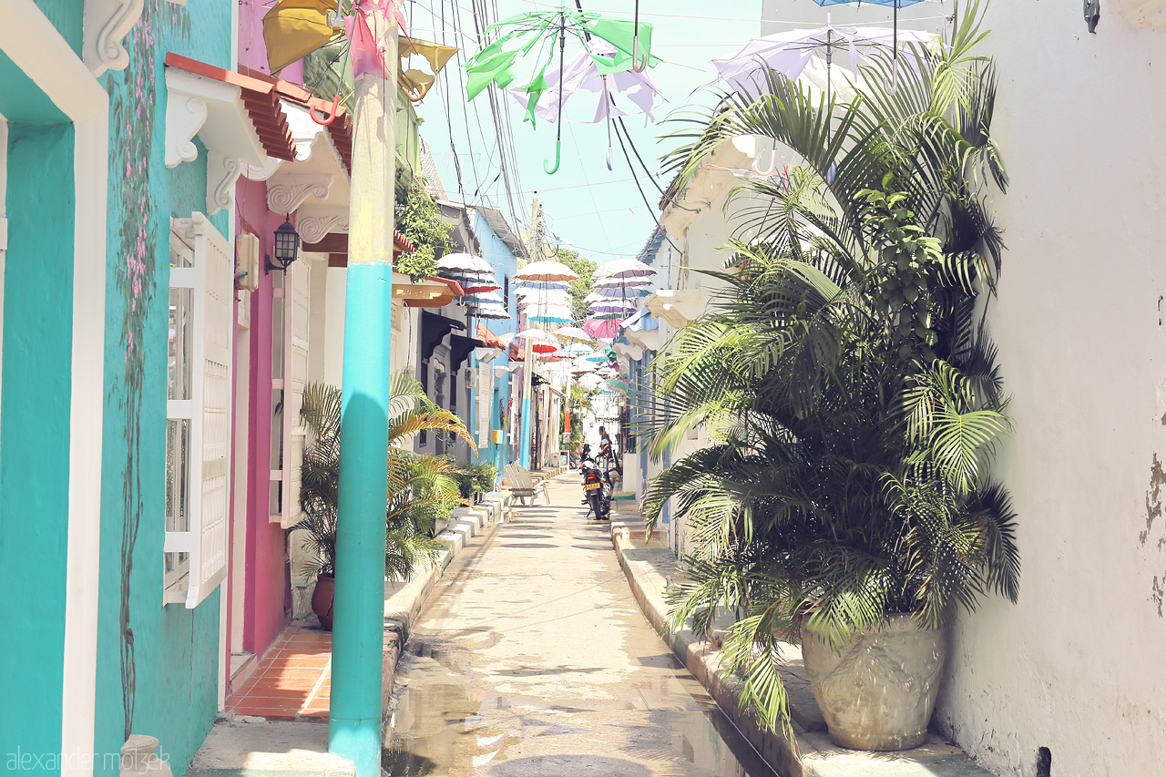 Foto von Bright hues and hanging umbrellas adorn a lively street in Cartagena, Colombia, showcasing the city's vibrant Caribbean charm and eclectic culture.