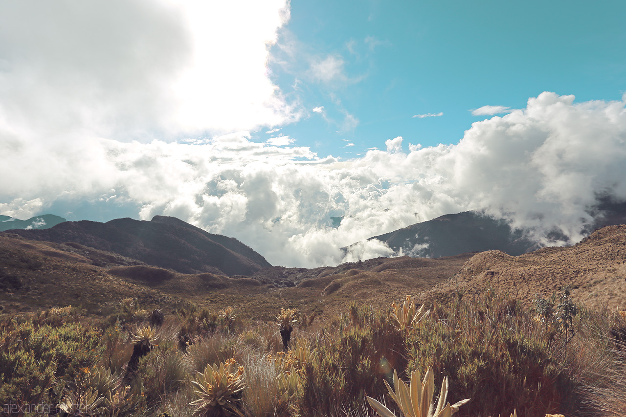 Foto von Capturing the ethereal beauty of the Andean highlands in Salento, Quindío, Colombia, where the peaks kiss the heavens and the clouds embrace the earth.