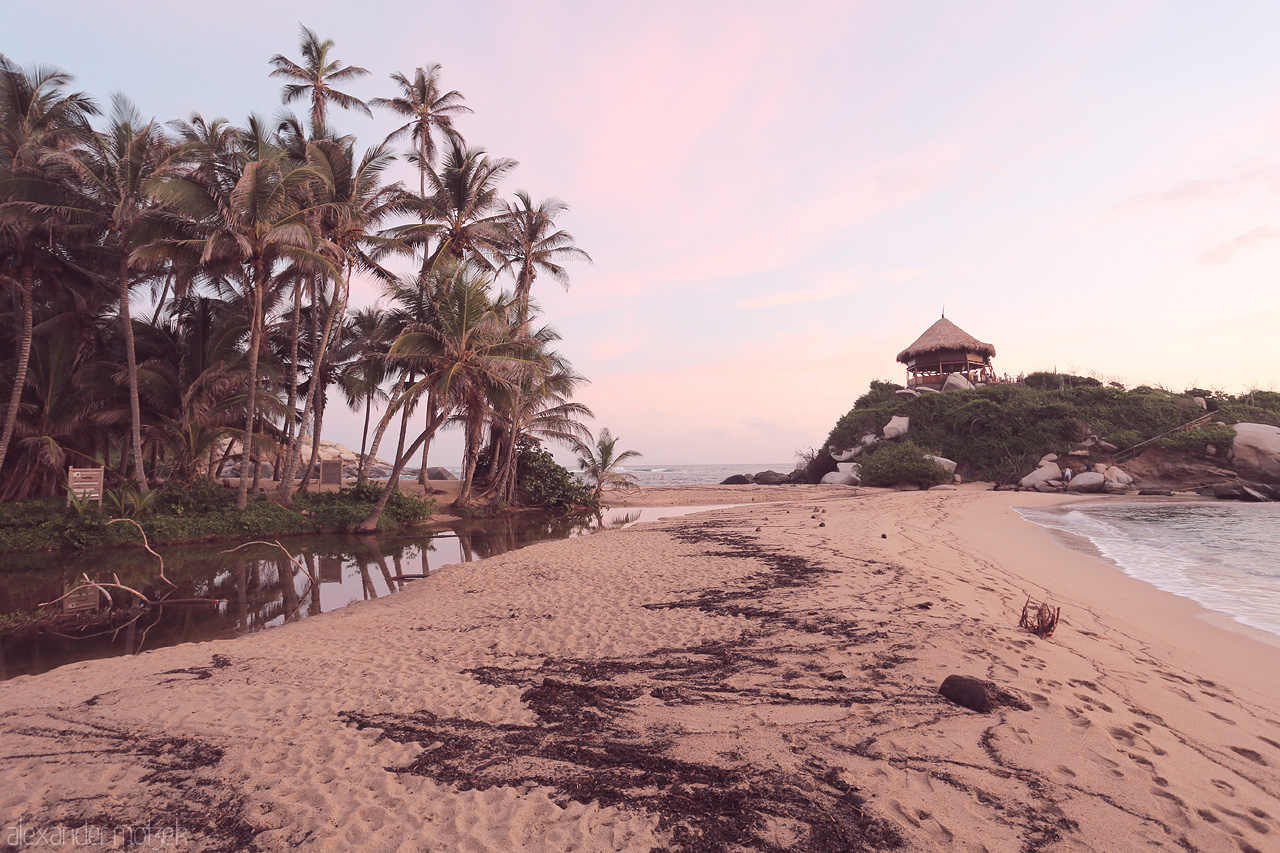 Foto von Golden sands meet lush palms and tranquil waters at sunrise in Tayrona, Santa Marta, Colombia.