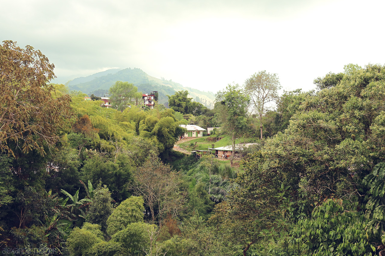 Foto von Lush greenery framing humble homes against the majestic Andes in Salento, Quindío, Colombia.