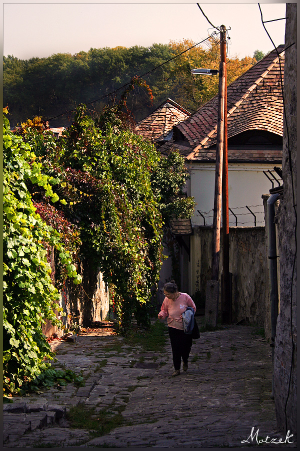 Foto von Budapest Street Alte Dame Gasse