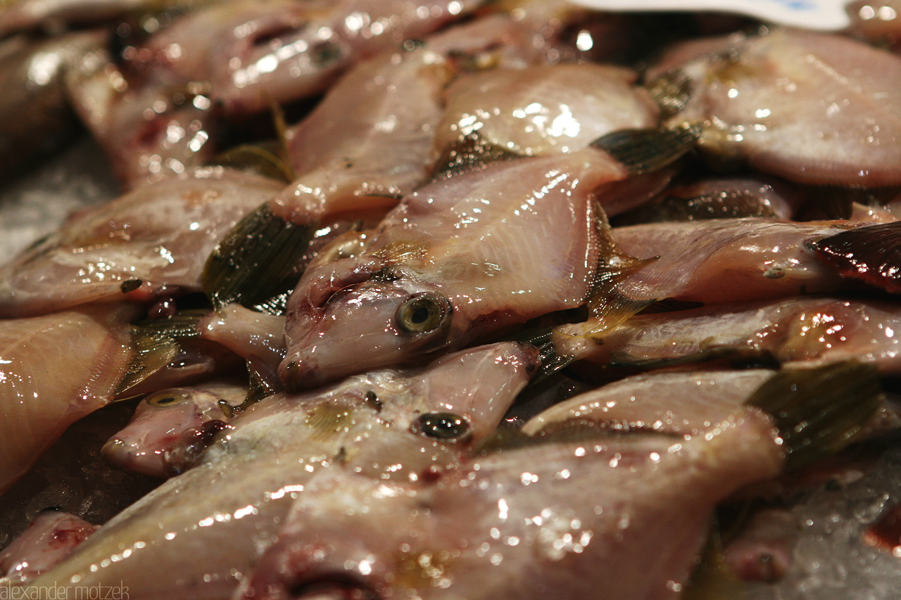 Foto von Fische auf dem Markt von Gran Canaria