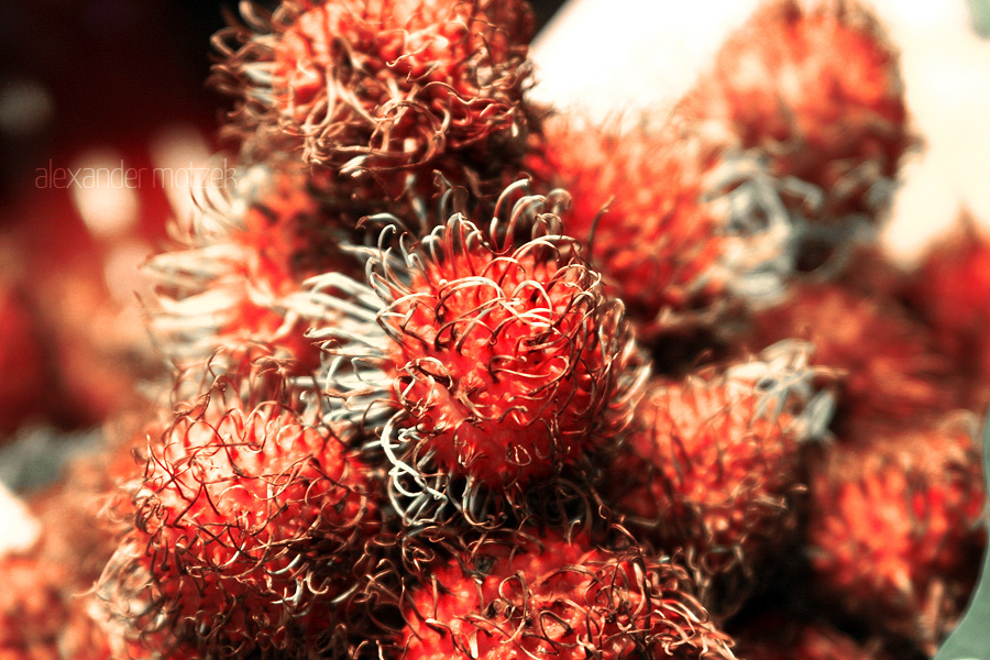 Foto von Vibrant rambutan fruits captured in Barcelona, showcasing nature's intricate beauty amidst urban charm.