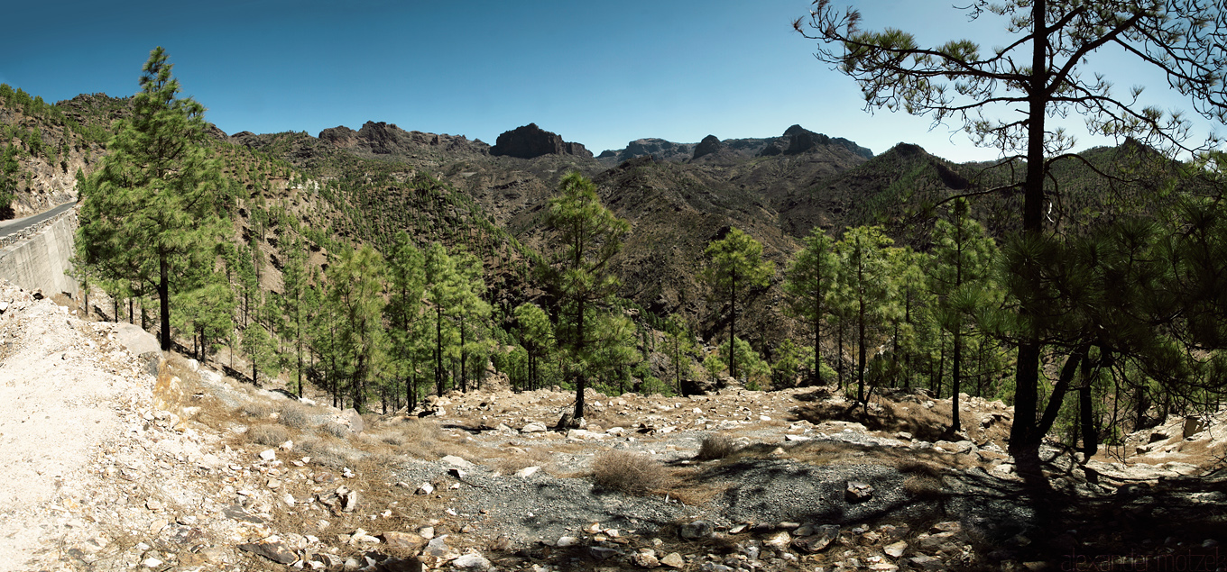 Foto von Gran Canaria Roque Nublo umgeben von Pinien