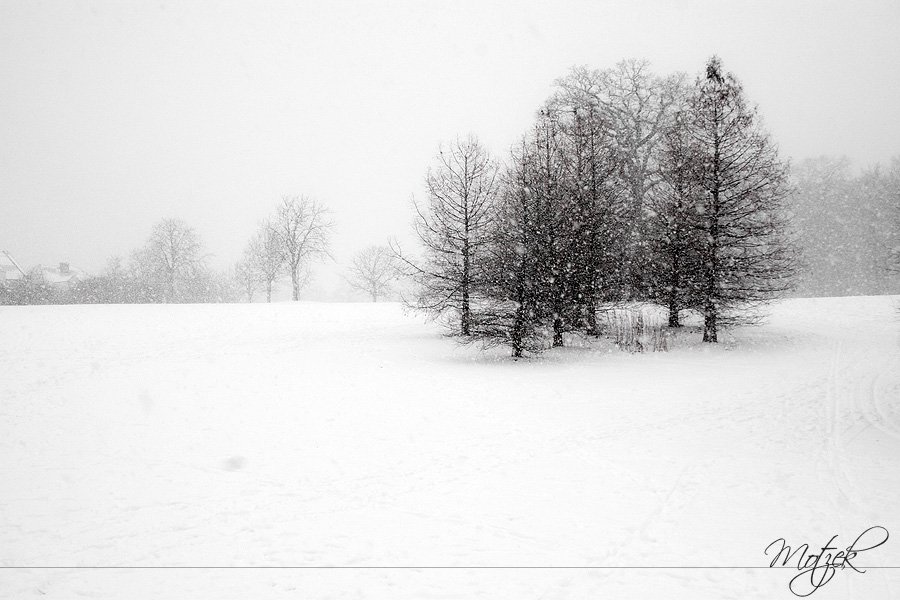 Foto von Hamburg Snow