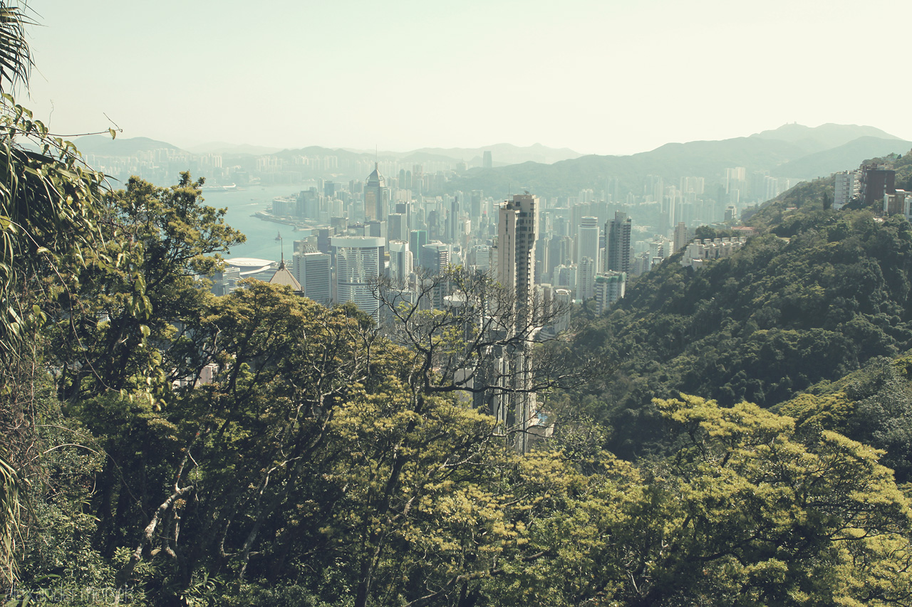 Foto von Blick auf Hong Kong vom Victoria Peak