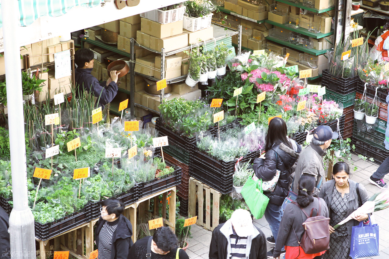 Foto von Blumen Markt in Mongkok