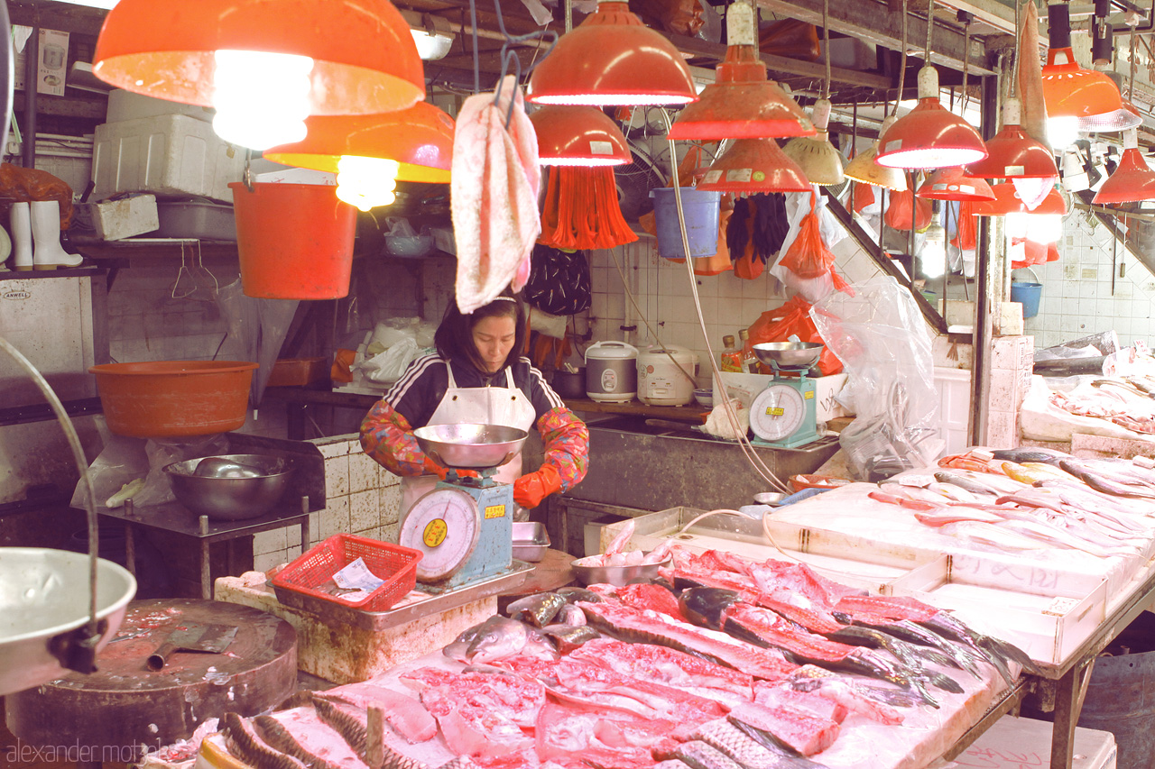 Foto von Fischmarkt in Mong Kok