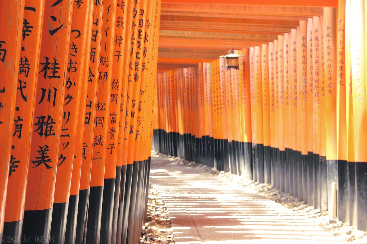 Foto von Ein riesiger Wall an Toriis erstreckt sich hinauf des Berges in Fushimi Inari