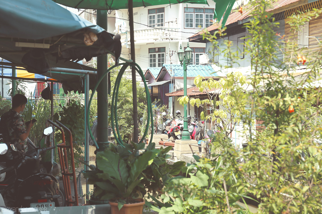 Serenity in Soi Wang Foto von Lush greenery frames a serene alley in Wang Burapha Phirom, Bangkok, capturing everyday life amidst vibrant foliage.