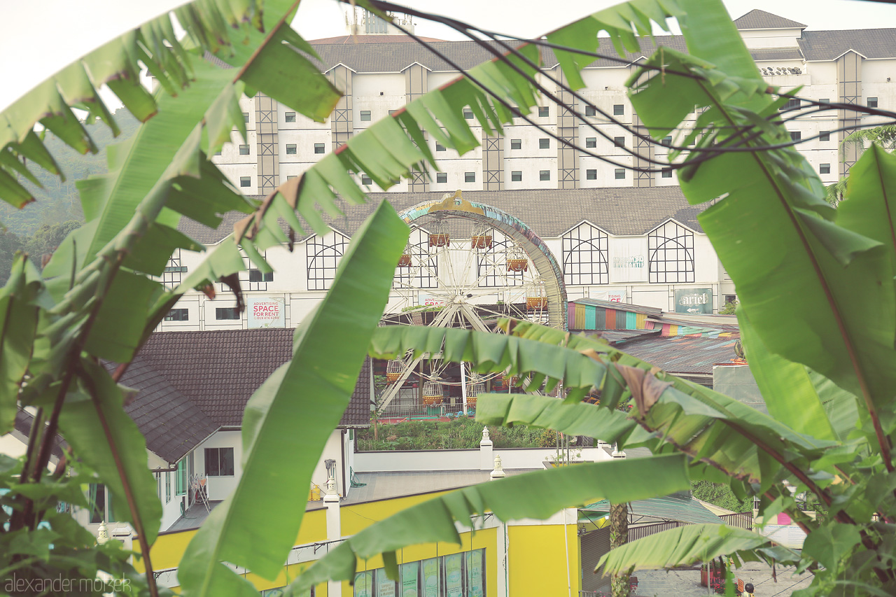 Foto von A nostalgic Ferris wheel in Cameron Highlands framed by lush banana leaves and vibrant buildings, with a hint of abandonment and history.