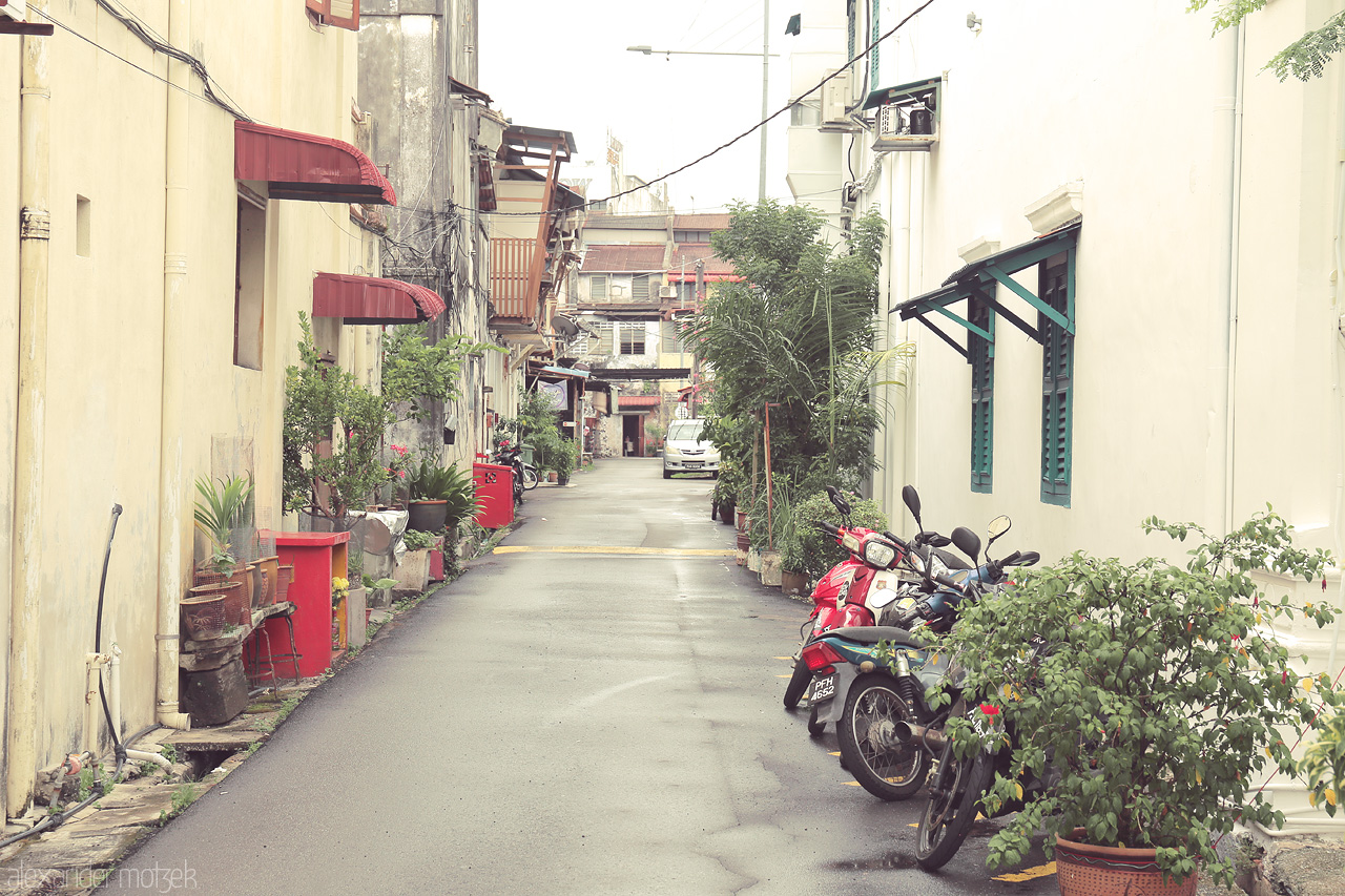 Foto von Discover a tranquil alley in Penang, Malaysia, where time stands still amidst rustic buildings and vibrant flora.