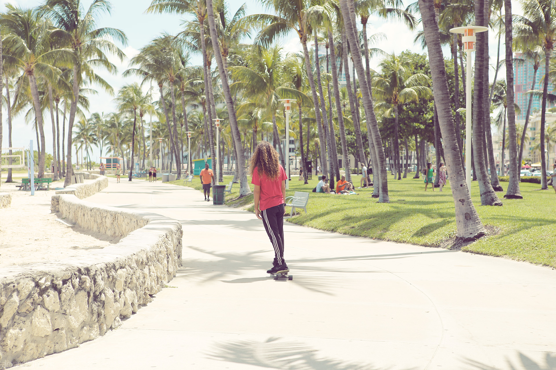 Foto von Skateboarder navigates a palm-lined path on a sunny Miami day, capturing the city's vibrant coastal vibes.