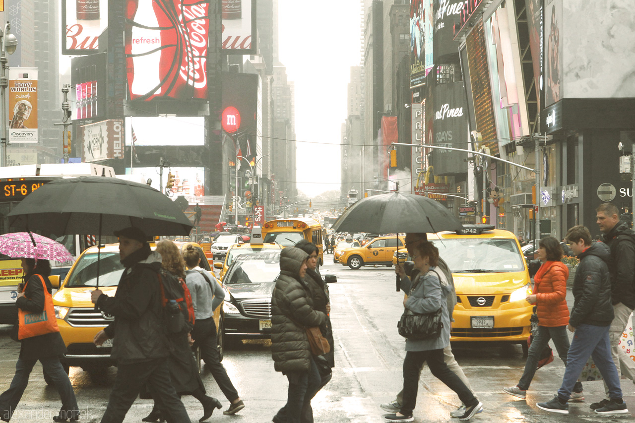 Foto von Zebra Streifen am Times Square