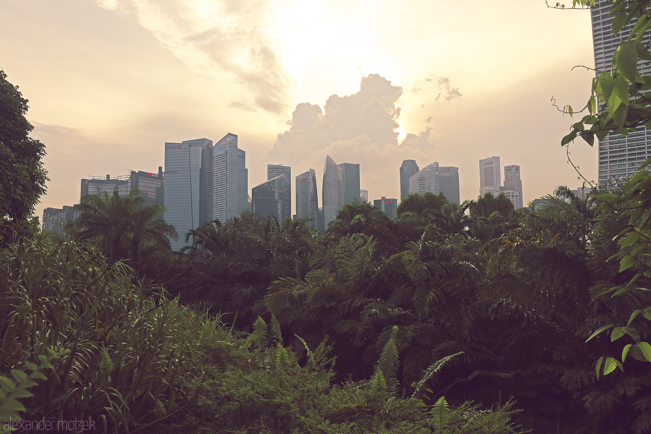 Foto von A blend of lush greenery and towering skyscrapers at sunset in Singapore, capturing the city's unique harmony between nature and development.