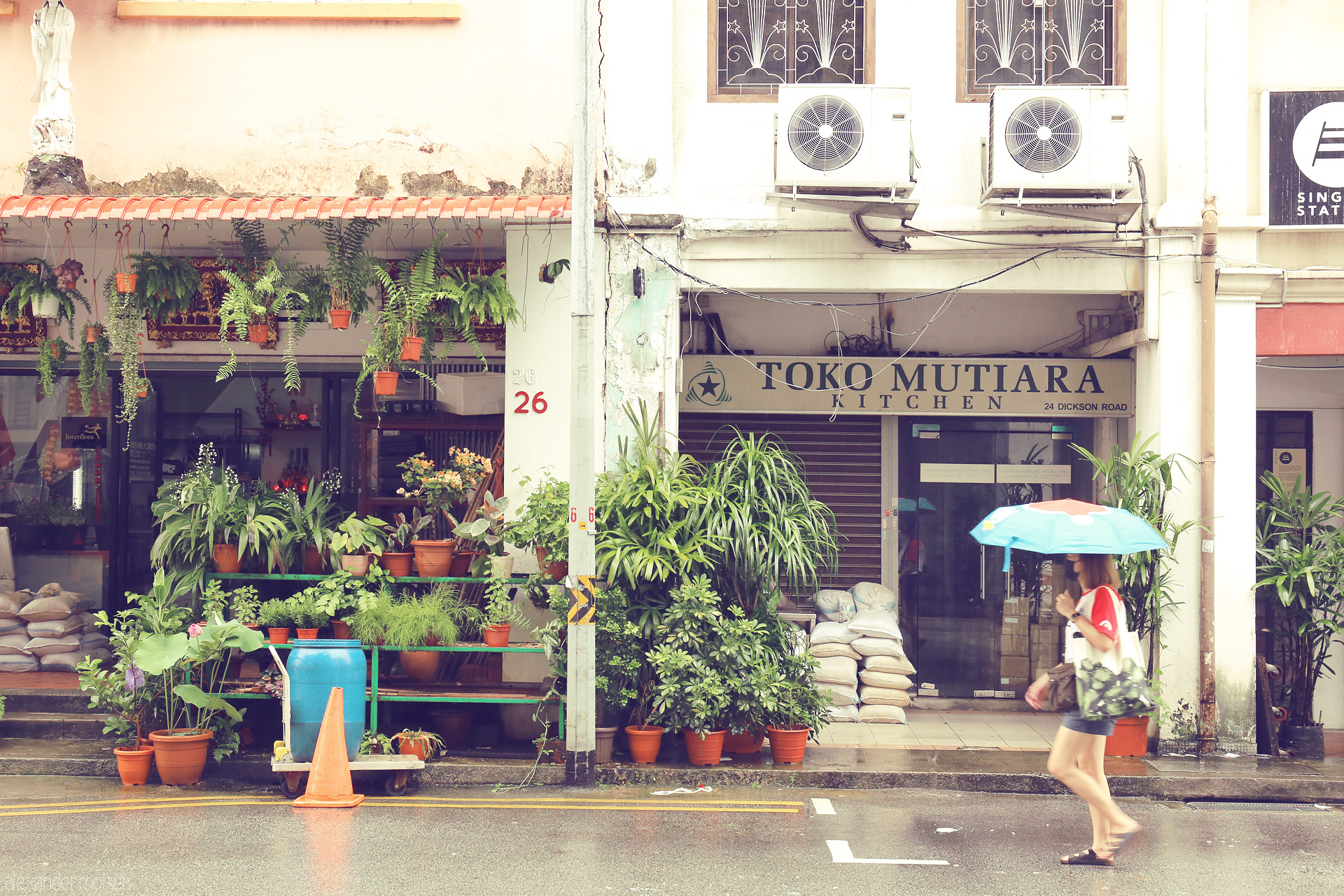 Foto von A rainy stroll past lush potted plants and the Toko Mutiara shop on Dickson Road, Little India, Singapore.