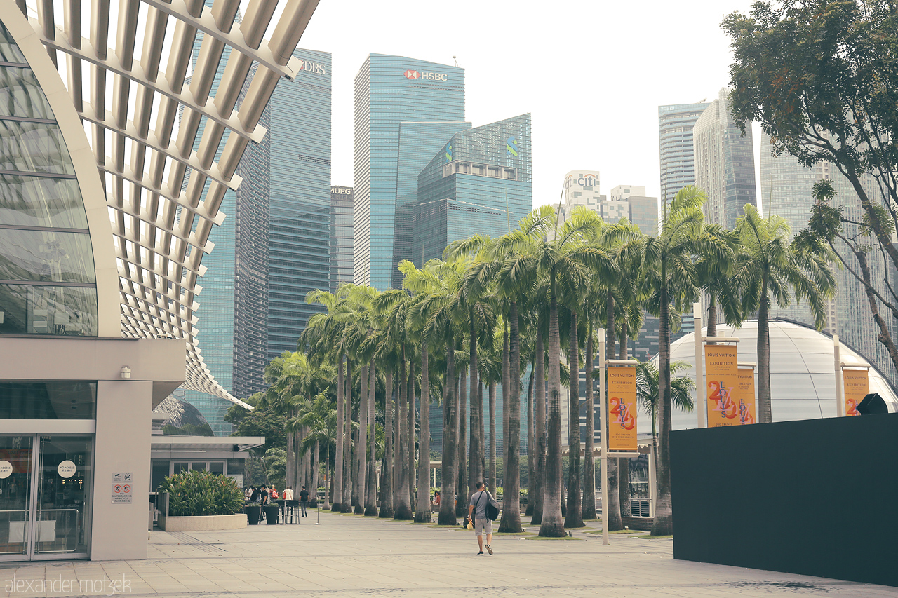 Foto von A serene walk among tall palm trees at Marina Bay Sands with towering skyscrapers in the background, capturing the essence of modern Singapore.