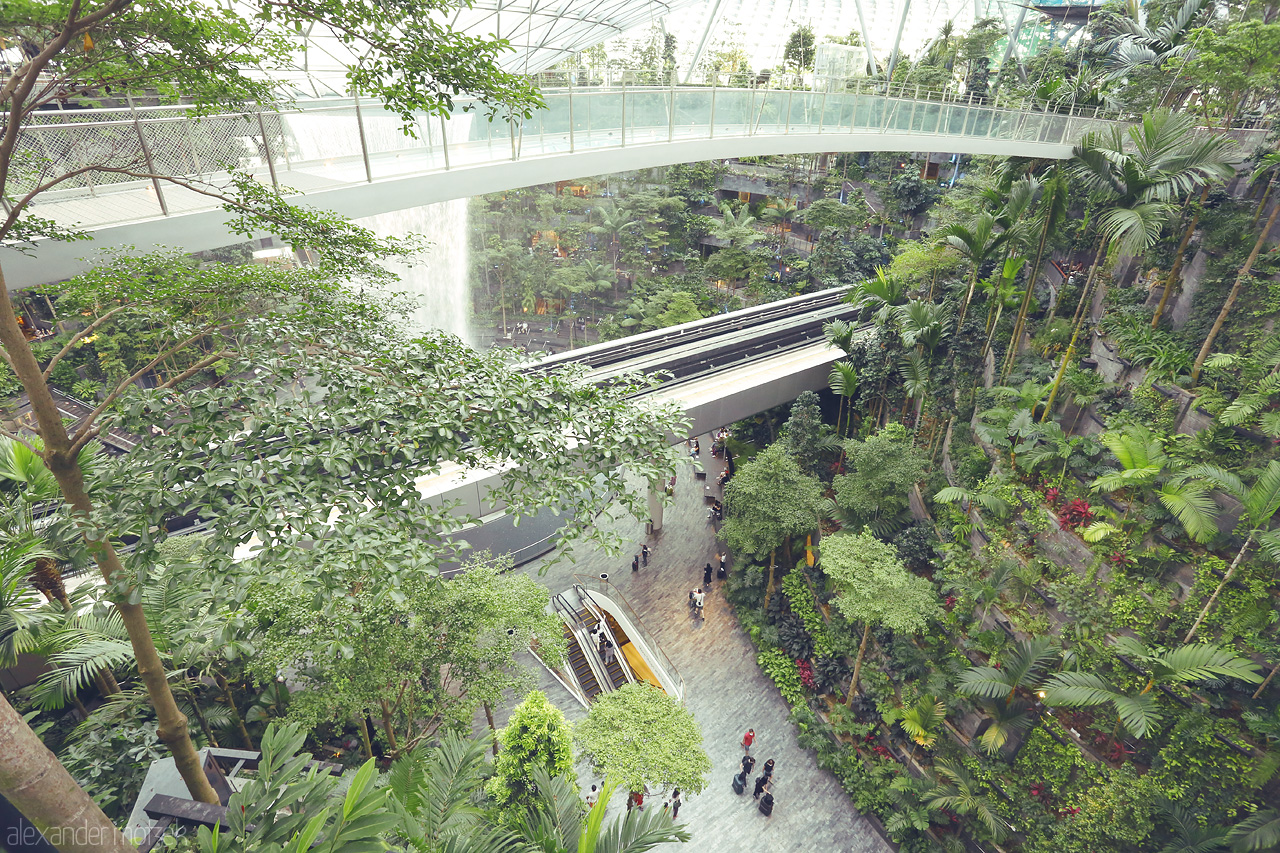 Foto von Discover Changi's lush canopy and cascading waterfall, where nature meets modern transit in a spectacular fusion of calm and innovation.