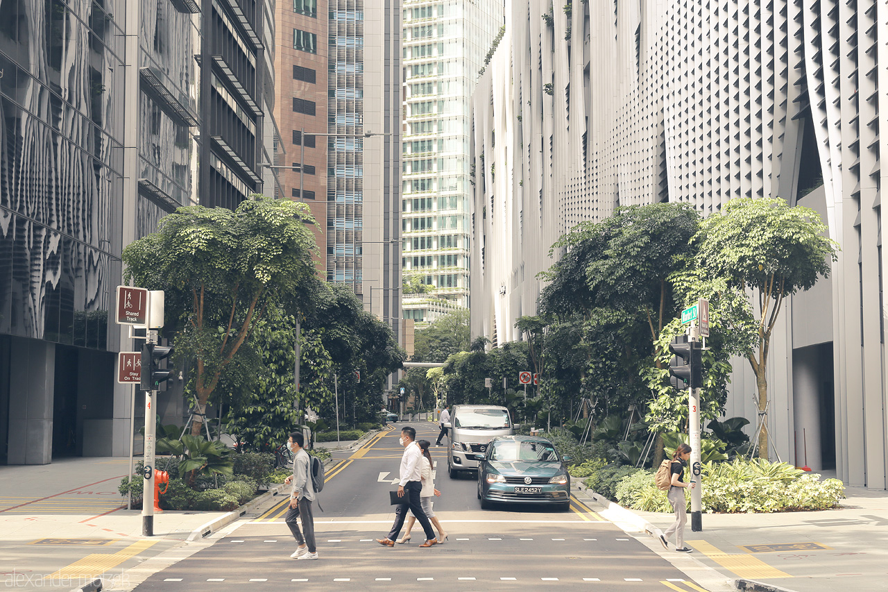 Foto von Modern skyscrapers and lush greenery create an urban oasis in Singapore, where city life and nature seamlessly blend together.