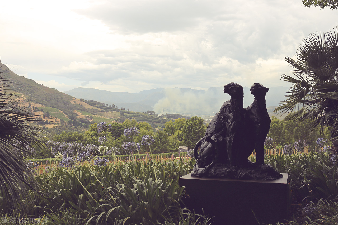 Foto von A majestic eagle statue overlooks the lush vineyards of Stellenbosch, surrounded by blooming flora and rolling hills.