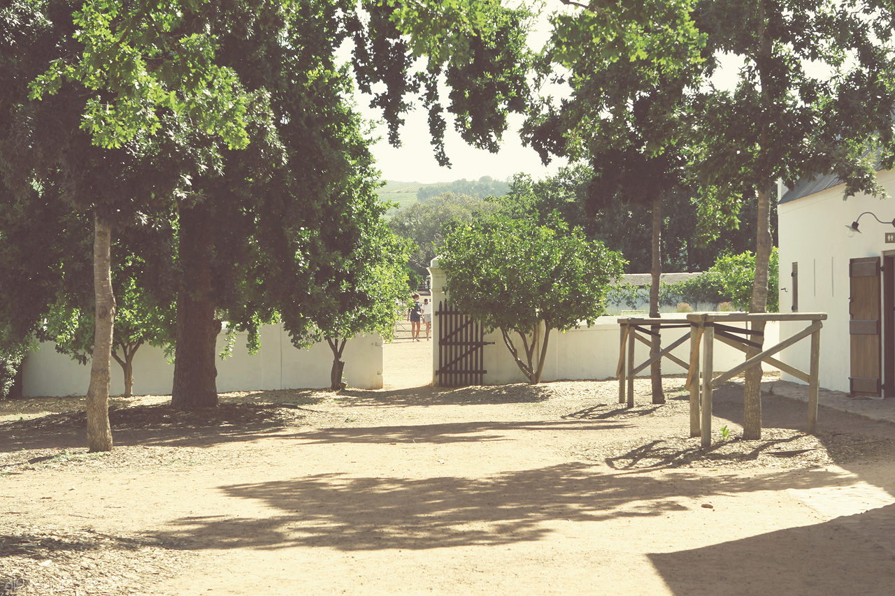 Foto von Blick auf die idyllischen Gärten von Babylonstoren in Stellenbosch, Südafrika