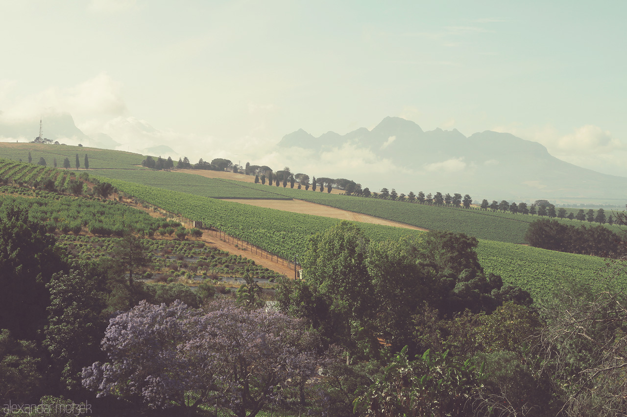 Foto von Blick bis zu den Hottentotten Bergen in Stellenbosch vom Sugarbird Manor aus gesehen