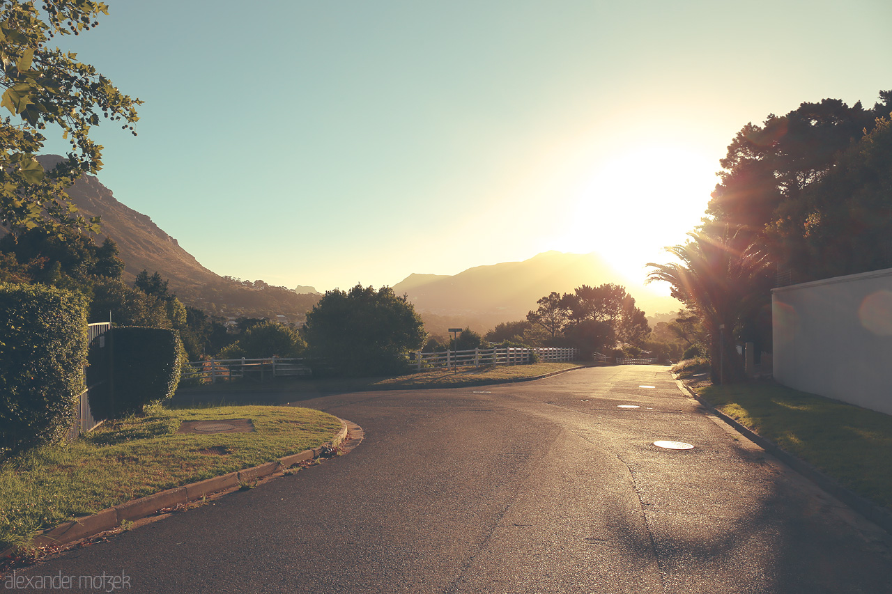 Foto von Golden sun rises over Cape Town, casting ethereal light on a serene, lush suburban road with majestic mountains as a backdrop.