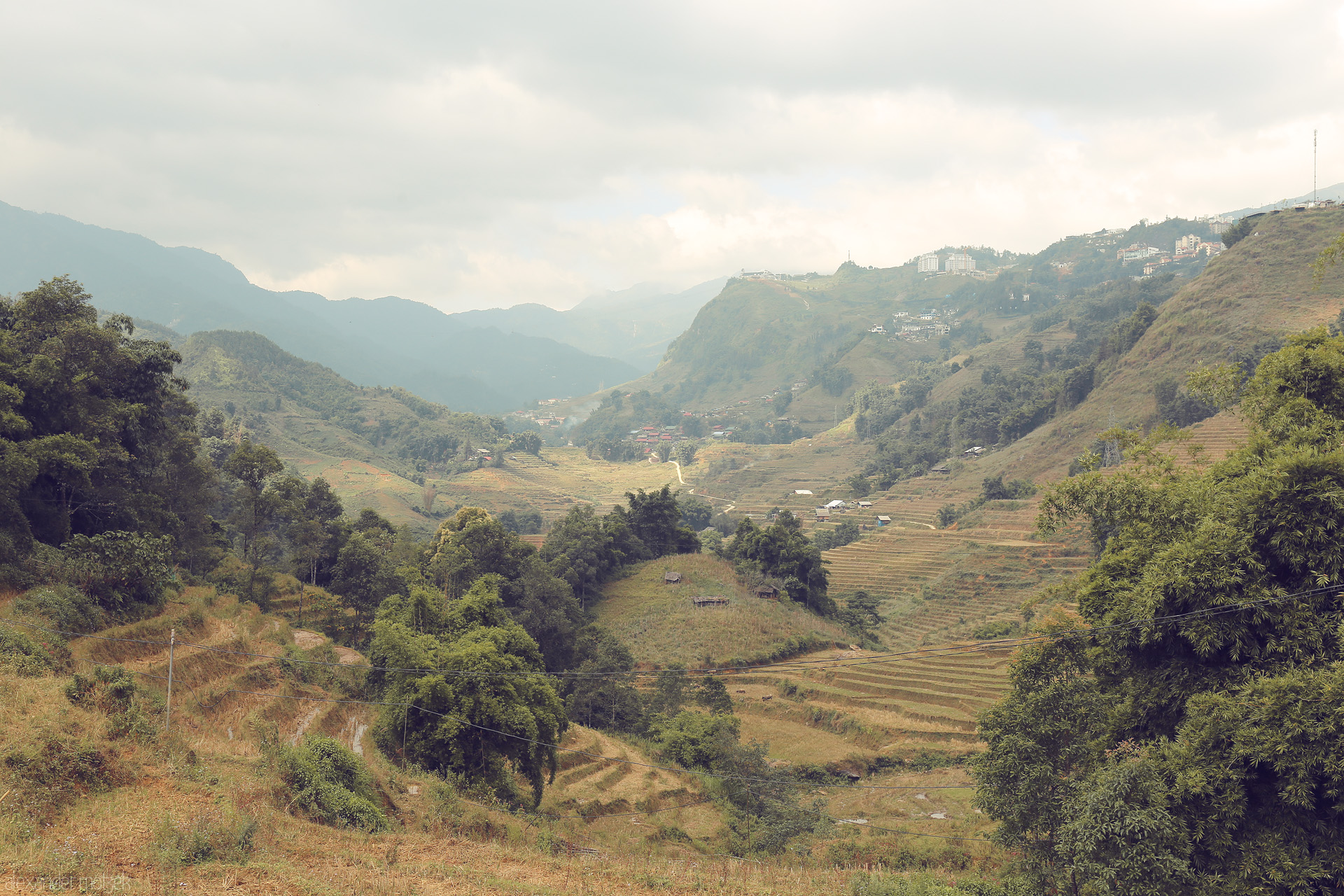 Foto von Terraced rice fields cascade beneath misty mountains in Sapa, Vietnam, blending lush greens with highland serenity and distant hillside towns.