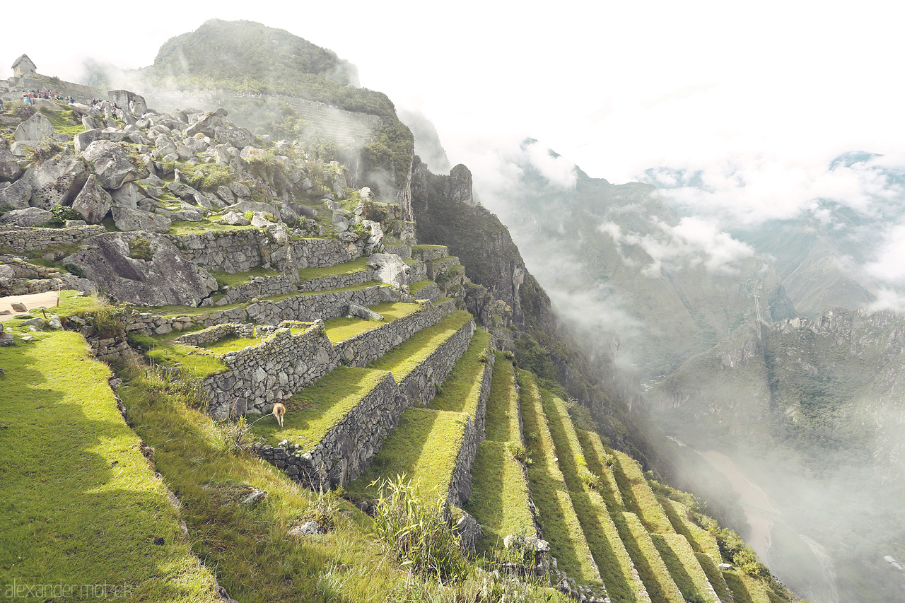 Foto von Treppen der Maya auf Machu Picchu in den Wolken