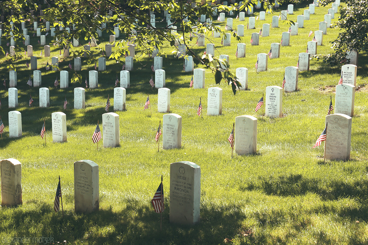 Foto von A serene view of Arlington National Cemetery, where rows of headstones are adorned with American flags under dappled sunlight.