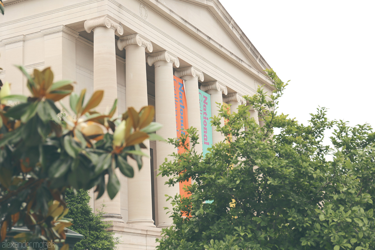 Foto von Majestic columns of a Smithsonian museum in Washington, D.C., framed by lush foliage.