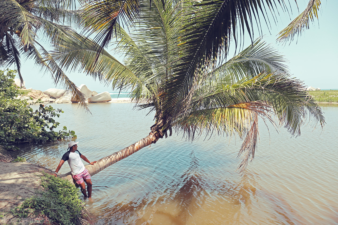 Sombras de Tayrona Foto von Young man enjoying lying under a leaning palm tree in the serene waters of Tayrona, Santa Marta, Colombia.